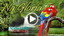 Na Gloria - video